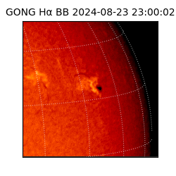 gong - 2024-08-23T23:00:02