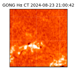 gong - 2024-08-23T21:00:42