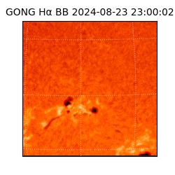 gong - 2024-08-23T23:00:02