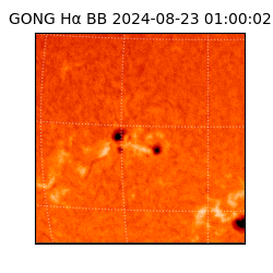 gong - 2024-08-23T01:00:02