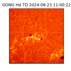 gong - 2024-08-23T11:00:22