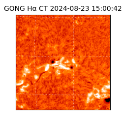 gong - 2024-08-23T15:00:42