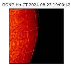 gong - 2024-08-23T19:00:42