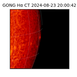 gong - 2024-08-23T20:00:42
