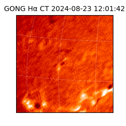 gong - 2024-08-23T12:01:42