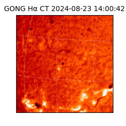 gong - 2024-08-23T14:00:42