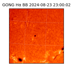 gong - 2024-08-23T23:00:02