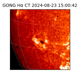 gong - 2024-08-23T15:00:42