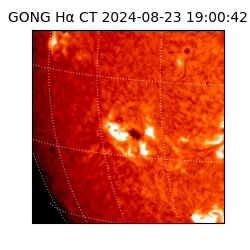 gong - 2024-08-23T19:00:42