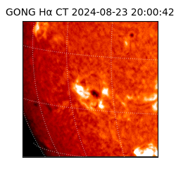 gong - 2024-08-23T20:00:42