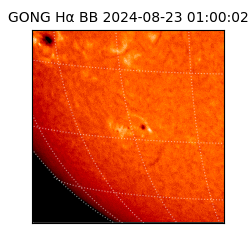 gong - 2024-08-23T01:00:02