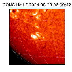 gong - 2024-08-23T06:00:42