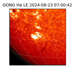gong - 2024-08-23T07:00:42