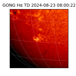 gong - 2024-08-23T08:00:22