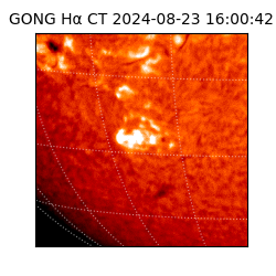 gong - 2024-08-23T16:00:42