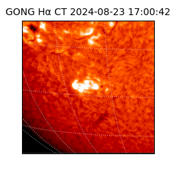 gong - 2024-08-23T17:00:42