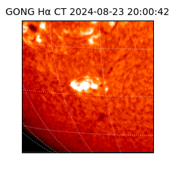 gong - 2024-08-23T20:00:42