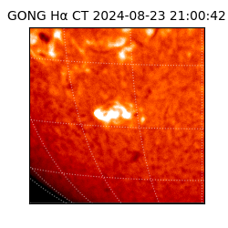 gong - 2024-08-23T21:00:42