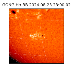 gong - 2024-08-23T23:00:02