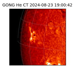 gong - 2024-08-23T19:00:42