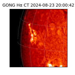 gong - 2024-08-23T20:00:42