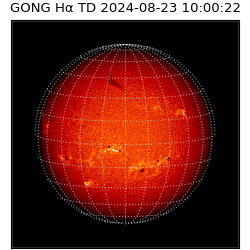 gong - 2024-08-23T10:00:22