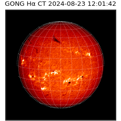 gong - 2024-08-23T12:01:42