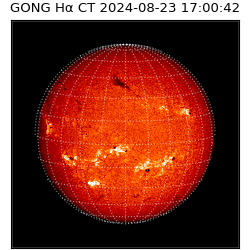 gong - 2024-08-23T17:00:42