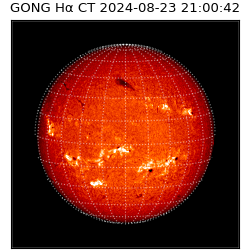 gong - 2024-08-23T21:00:42