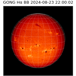 gong - 2024-08-23T22:00:02