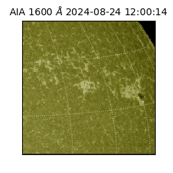 saia - 2024-08-24T12:00:14.118000