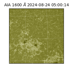 saia - 2024-08-24T05:00:14.130000