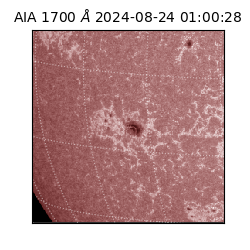 saia - 2024-08-24T01:00:28.717000