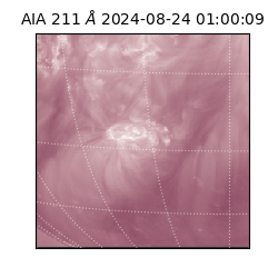 saia - 2024-08-24T01:00:09.630000