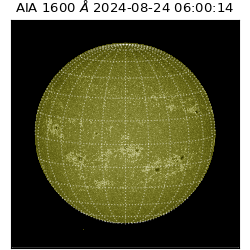 saia - 2024-08-24T06:00:14.126000