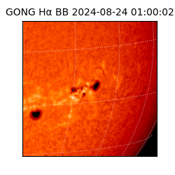 gong - 2024-08-24T01:00:02