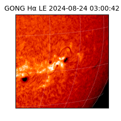 gong - 2024-08-24T03:00:42