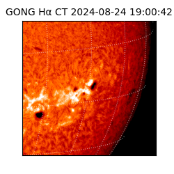 gong - 2024-08-24T19:00:42