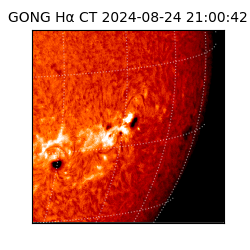 gong - 2024-08-24T21:00:42