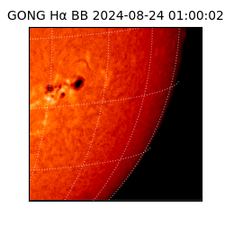 gong - 2024-08-24T01:00:02