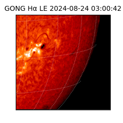 gong - 2024-08-24T03:00:42