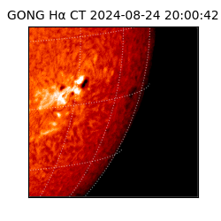 gong - 2024-08-24T20:00:42