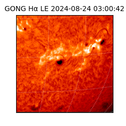 gong - 2024-08-24T03:00:42