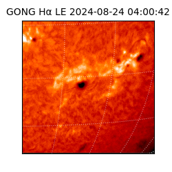 gong - 2024-08-24T04:00:42