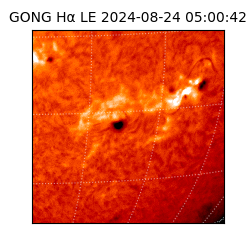 gong - 2024-08-24T05:00:42