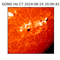 gong - 2024-08-24T20:00:42
