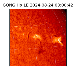 gong - 2024-08-24T03:00:42