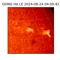 gong - 2024-08-24T04:00:42