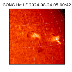 gong - 2024-08-24T05:00:42