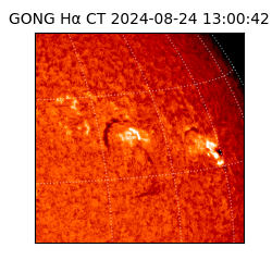 gong - 2024-08-24T13:00:42